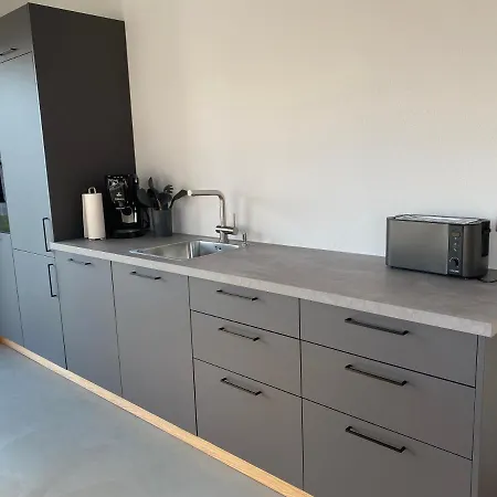 Neubau Gruener Wolpertinger Designwhg 106qm Barrierefrei Apartment Breitbrunn am Chiemsee
